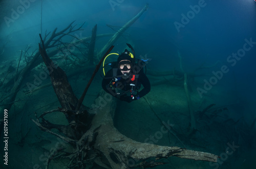 Buceo en un bosque bajo el agua.