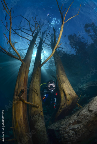 Buceo en bosque sumergido en Lago Traful