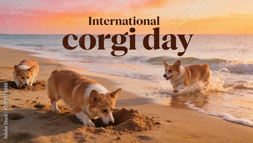Corgi dogs playing on tropical beach at sunset for International corgi day. Cute puppies running and digging in sand by ocean waves. Festive greeting card for pet lovers holiday.