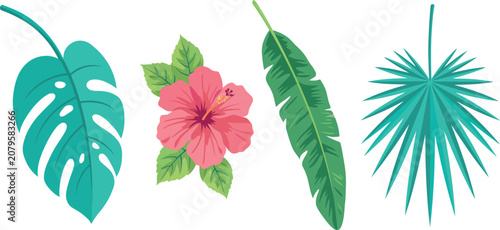 Photos Tropical leaves and flower vector set featuring monstera banana leaf palm frond