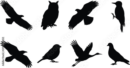 Bird silhouette collection featuring flying and perched species including owl, woodpecker, crow, and heron