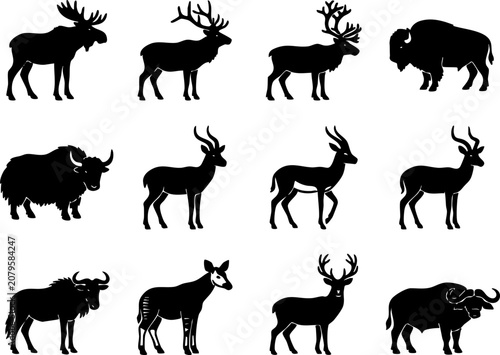 Fotografia Set of hoofed mammals and wild animal silhouettes with silhouette antelope wildl