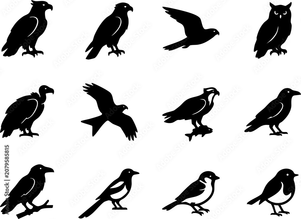Fototapeta premium Collection of various bird species and raptors silhouette vector set with silhouette, wildlife