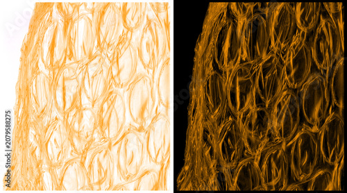 Foto Microscopic orange plant cells texture, biological cellular structure close up,