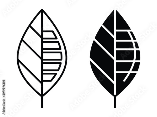 Adobe Illustrator Artwork
