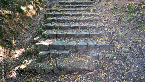 Rustic stone block stairs ascending a narrow dirt ravine path in the woods