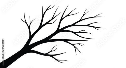 Black silhouette of a leafless tree branch stretching across the frame against a white background.