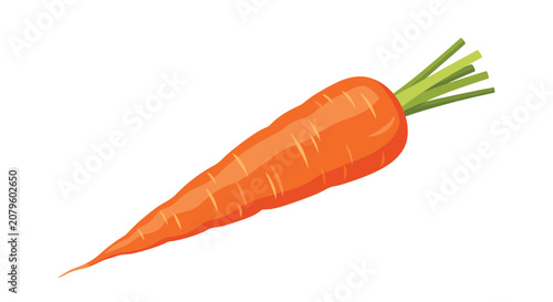Fresh and vibrant orange carrot with a green leafy top is illustrated in a clean and healthy food style for agriculture and culinary projects.