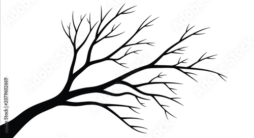 Silhouette of a bare tree branch without leaves reaches across the frame, creating a minimalist and stark nature image.