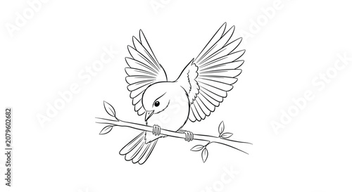 Delicate black and white line art drawing of a small bird perched on a leafy tree branch with wings spread wide.