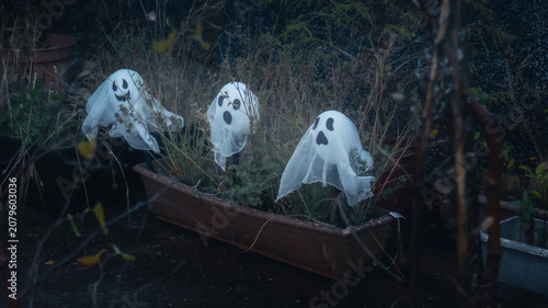Obraz na plátne Ghostly Figures in a Garden Box