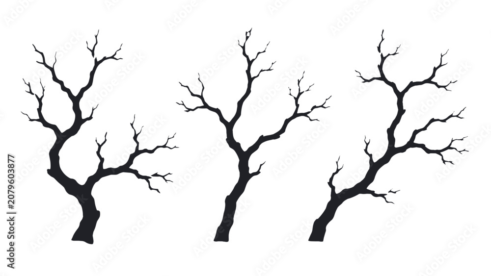 Fototapeta premium Set of bare tree branch silhouettes isolated on white