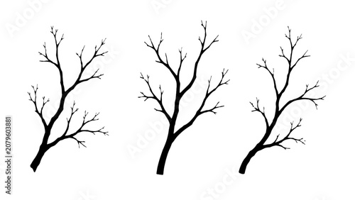 Принти на полотні Set of bare tree branch silhouettes isolated on white