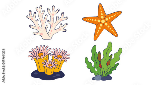 Tableau sur toile Marine life vector set with coral starfish anemone and seaweed