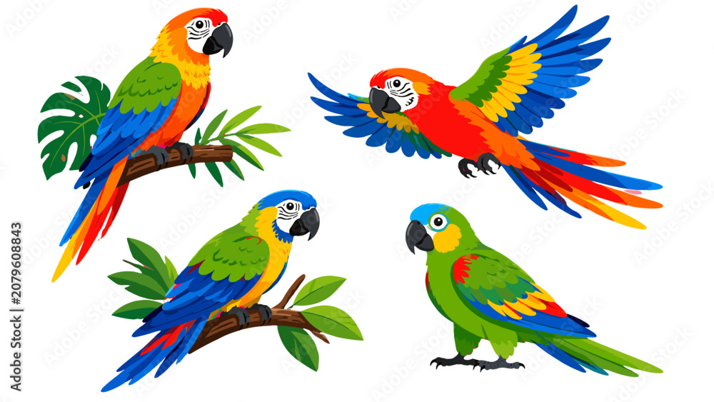 Obraz premium Colorful parrot collection with tropical birds and branches