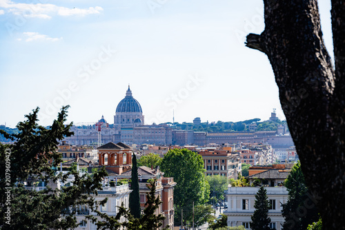 Photography St Peter's Basilica Dome Framed by Green Trees in Rome
