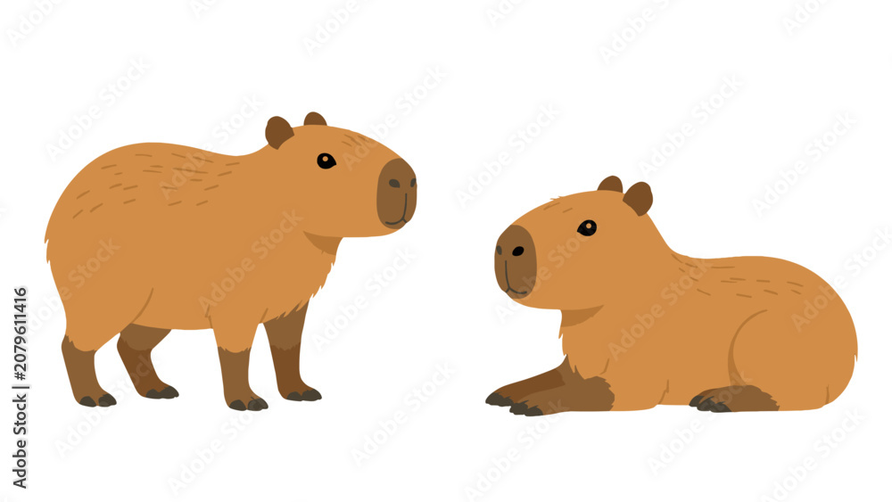 Fototapeta premium Cartoon capybara pair in simple flat vector style