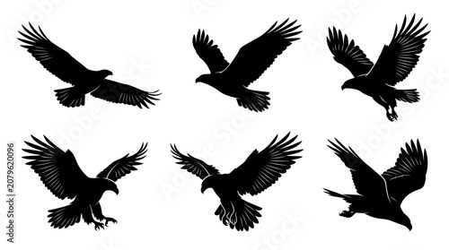 Black bird silhouettes, flying eagle illustrations, raven icons, 6 piece set