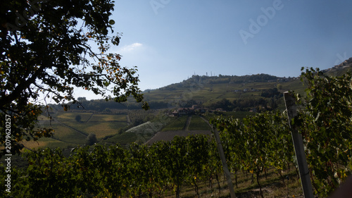 Φωτογραφία landscapes of the Langhe in Piedmont with vineyards during summer before autumn