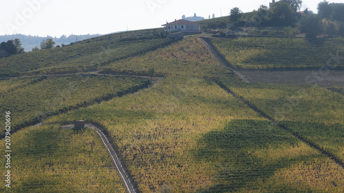 Foto landscapes of the Langhe in Piedmont with vineyards during summer before autumn