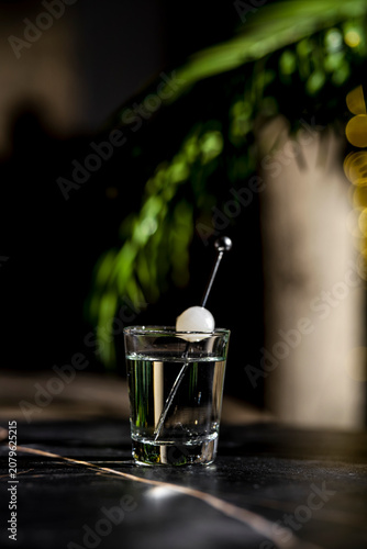 Картината върху платно Tiniest tini modern savory martini shot with cocktail onion garnish placed under palm branch reflection