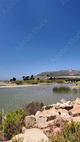 Vertical view of the tranquil Ventura River Estuary with wild birds swimming on a sunny day