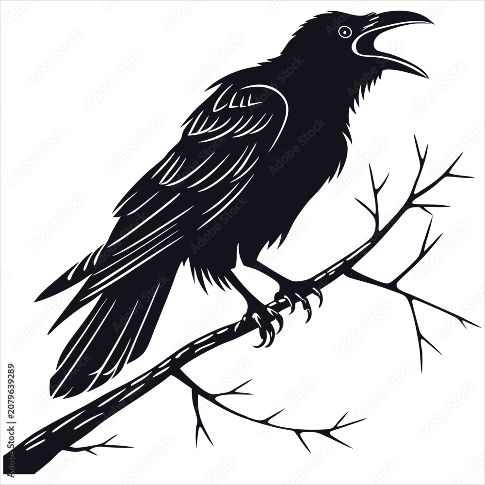 Fototapeta premium silhouette crow image on white background 