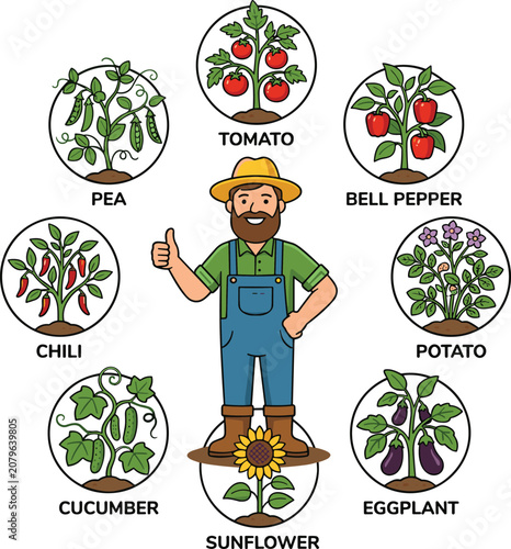 Tableau sur toile Detailed vector illustration of a mature bean plant with green pods and flowers