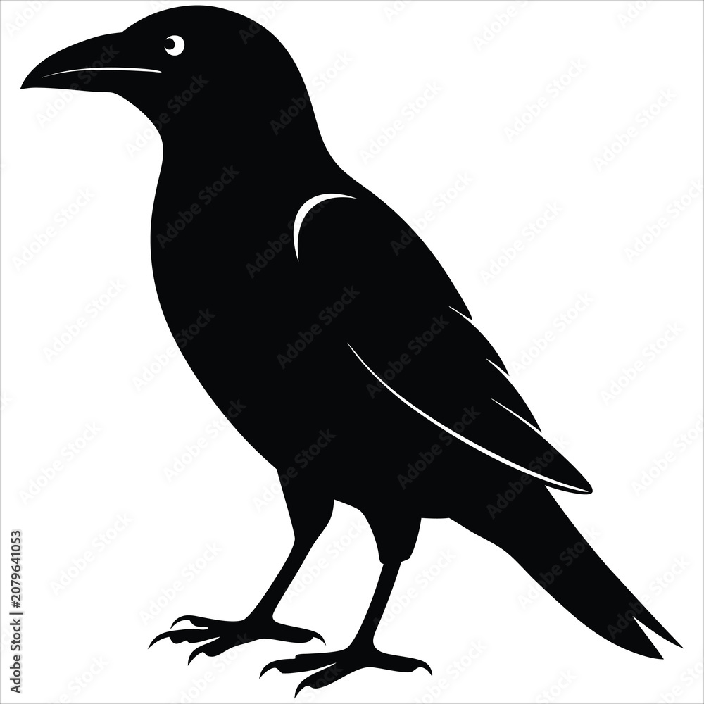 Fototapeta premium silhouette crow image on white background 