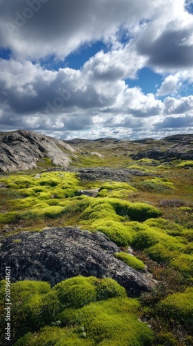 Mossy terrain under a cloudy sky at midday