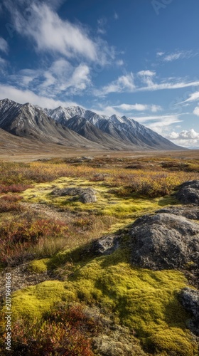 Autumn mountains and vibrant tundra
