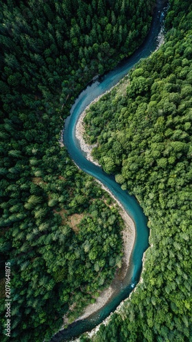 Serpentine river winding through lush green forest