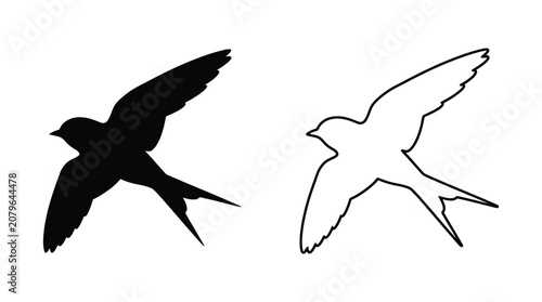 Swallow Silhouette In Black And White Outline And Solid Forms Silhouette