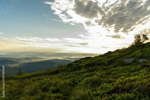 Scenic mountain landscape with green slopes, jagged rocks and a narrow hiking trail. Panoramic view of a vast forest valley and misty peaks. Nature adventure background