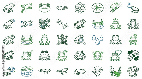 Foto Frog and Toad Life Cycle Icon Set
