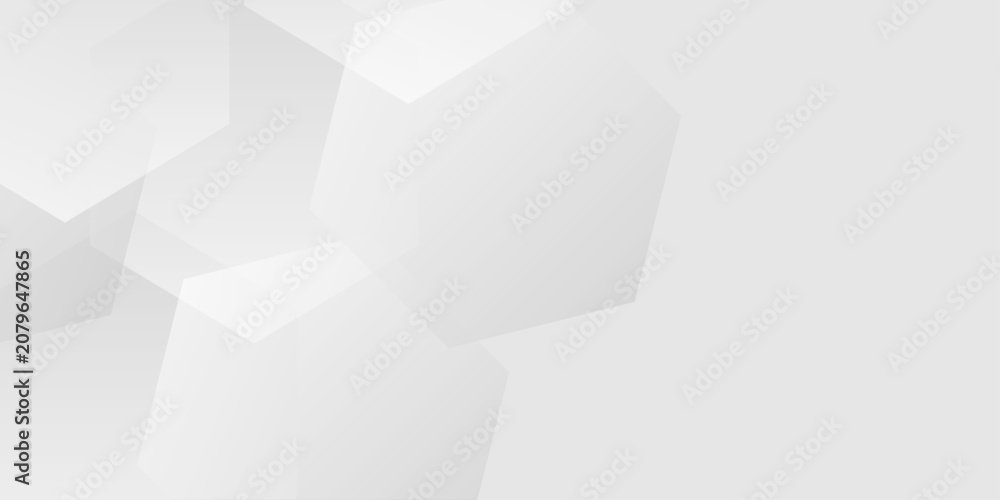 Fototapeta premium Abstract white and grey geometric background with overlapping translucent hexagon shapes and soft gradients. Subtle pattern of overlapping white and grey translucent hexagons