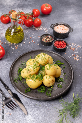 Boiled potatoes with fresh dill and olive oil