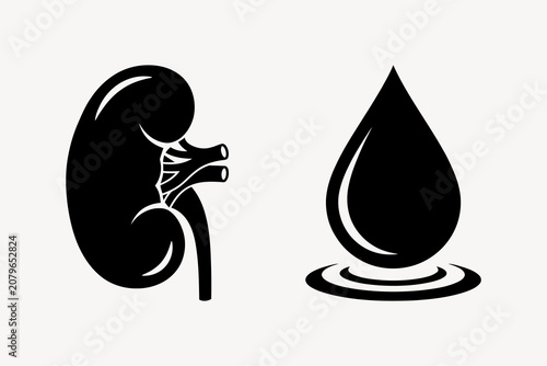 Human kidney anatomy and blood drop icon set illustrating renal health urinary system functions and medical testing for diagnostics research laboratory use.