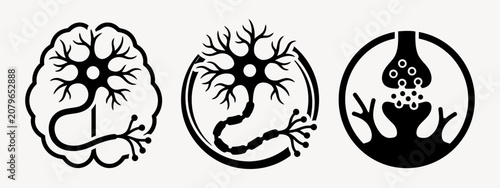Human brain neuron cell and synaptic transmission icon set for neuroscience brain study cognitive science and neurology research medical graphic collection.