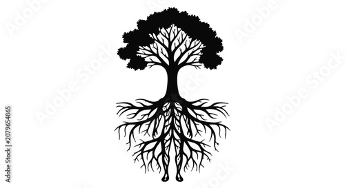 Tree roots and branches silhouette, nature and growth concept