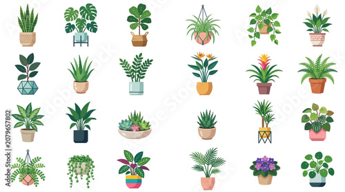 Indoor Houseplant Potted Icon Set
