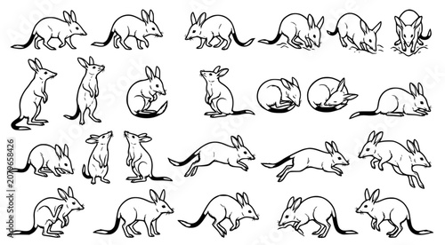 Obraz na plátně Set of hand drawn bilby illustrations featuring various poses and behaviors in b