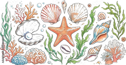 Underwater sea life collection with shells and coral reefs