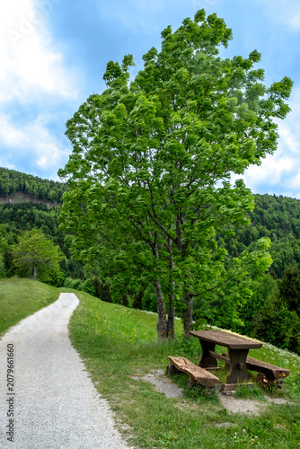 Slovenia path in nature