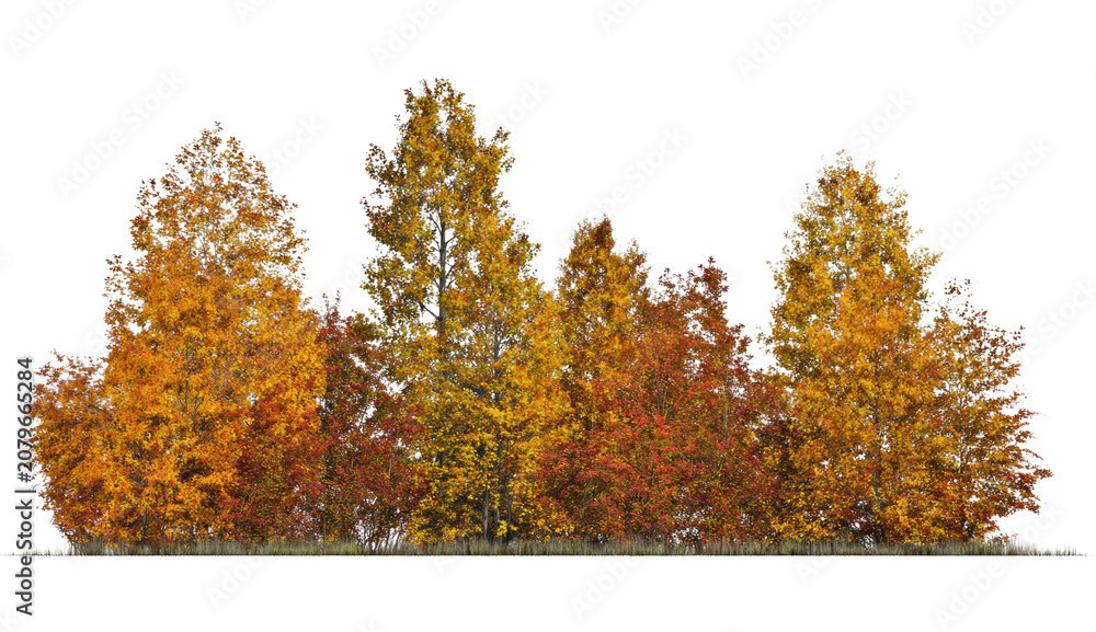 Fototapeta premium PNG Vibrant autumn trees against a clear white background.