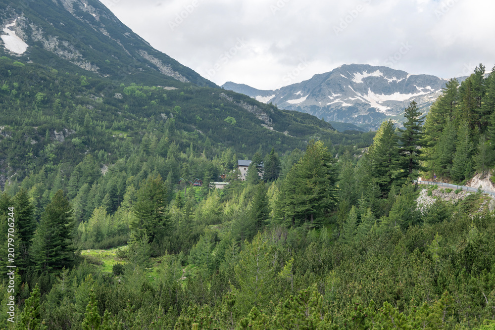 Fototapeta premium Pirin Mountain near Banderitsa Area, Bulgaria