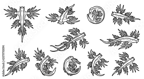 Collection of blue dragon sea slug illustrations in various swimming poses isolated on white background for marine biology educational graphic design