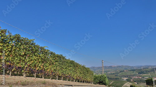Photos landscapes of the Langhe in Piedmont with vineyards during summer before autumn
