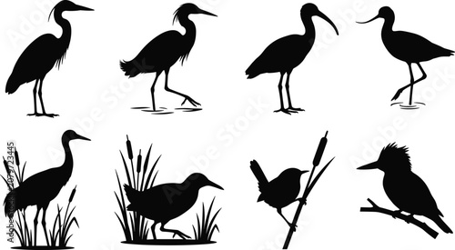 Bird Silhouettes of Wading and Perching Species for Wildlife, Education, and Design Projects