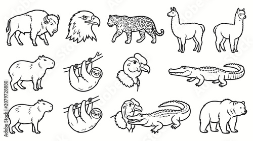 Photography Diverse American Wildlife Animal Icons Set on Isolated White Background